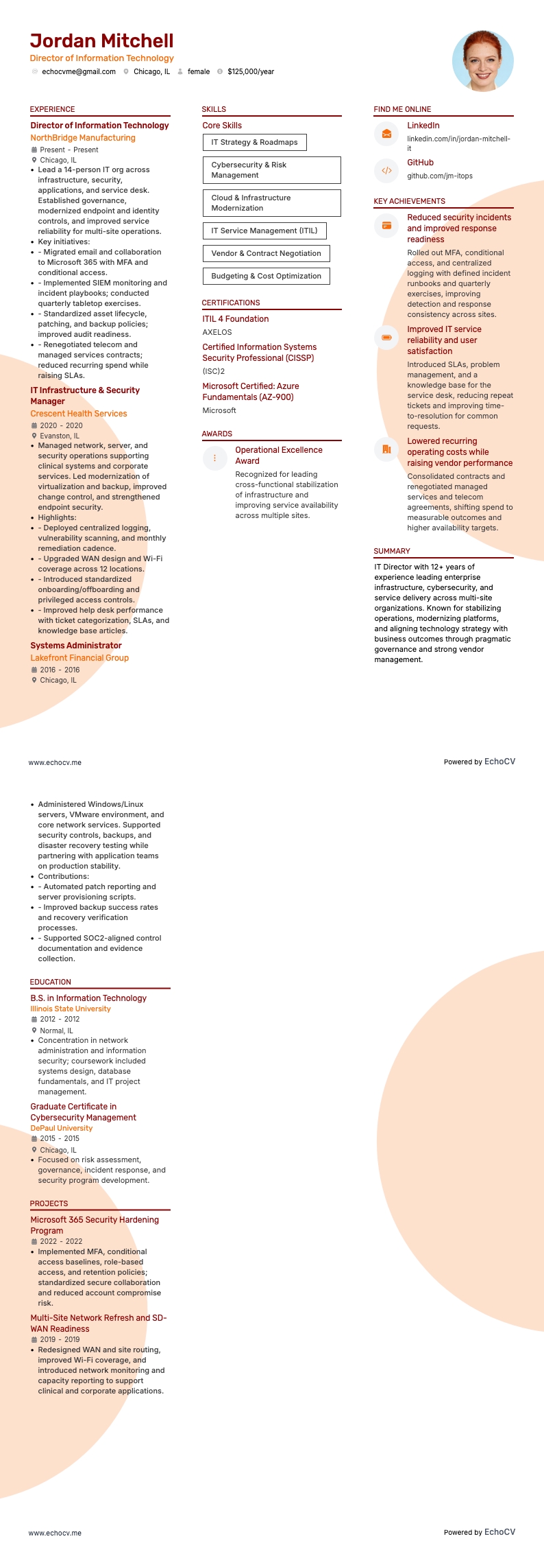 資訊技術總監 example resume