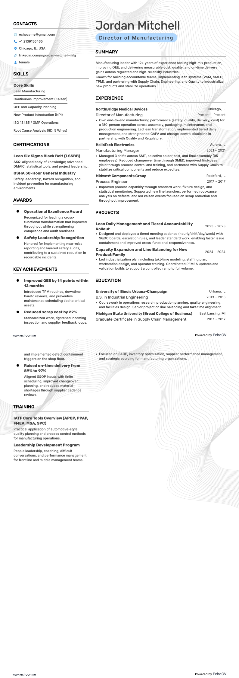 製造總監 example resume