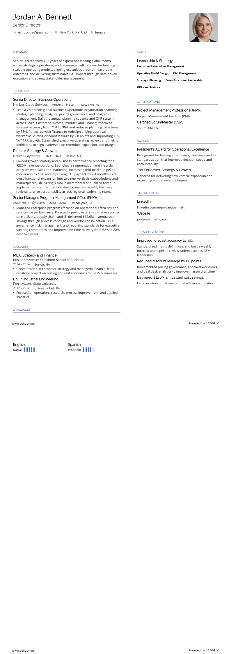 資深總監 example resume