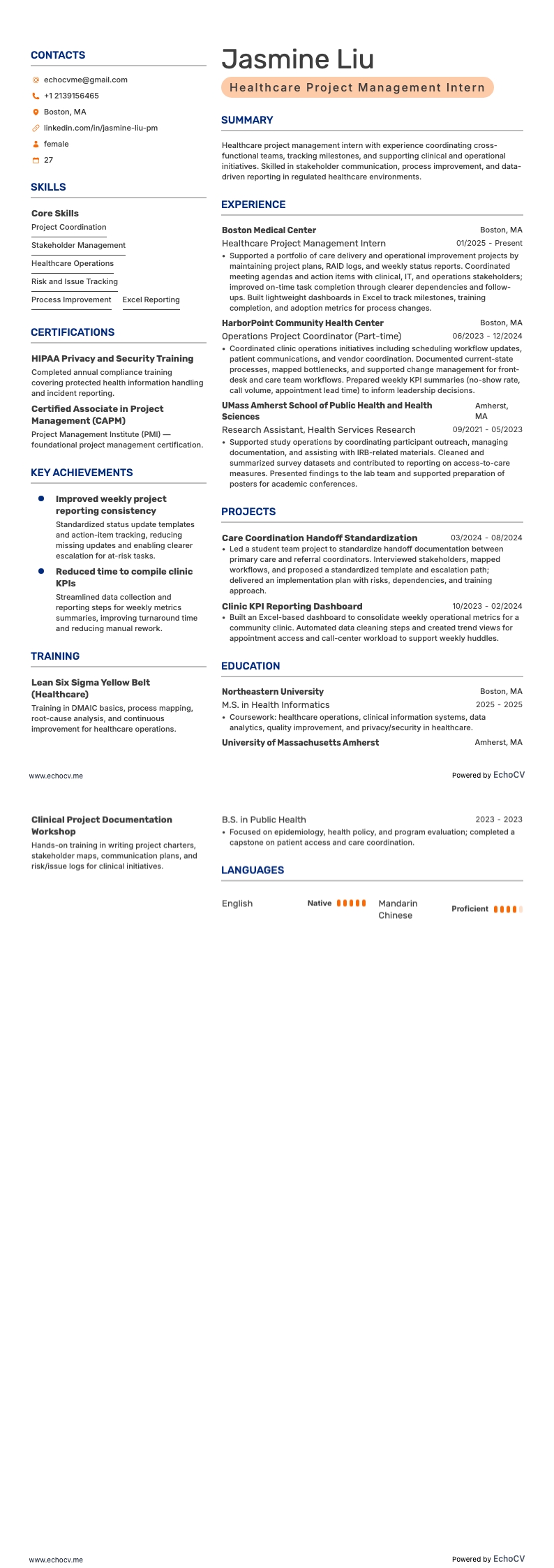 Gerente de proyectos sanitarios resume example