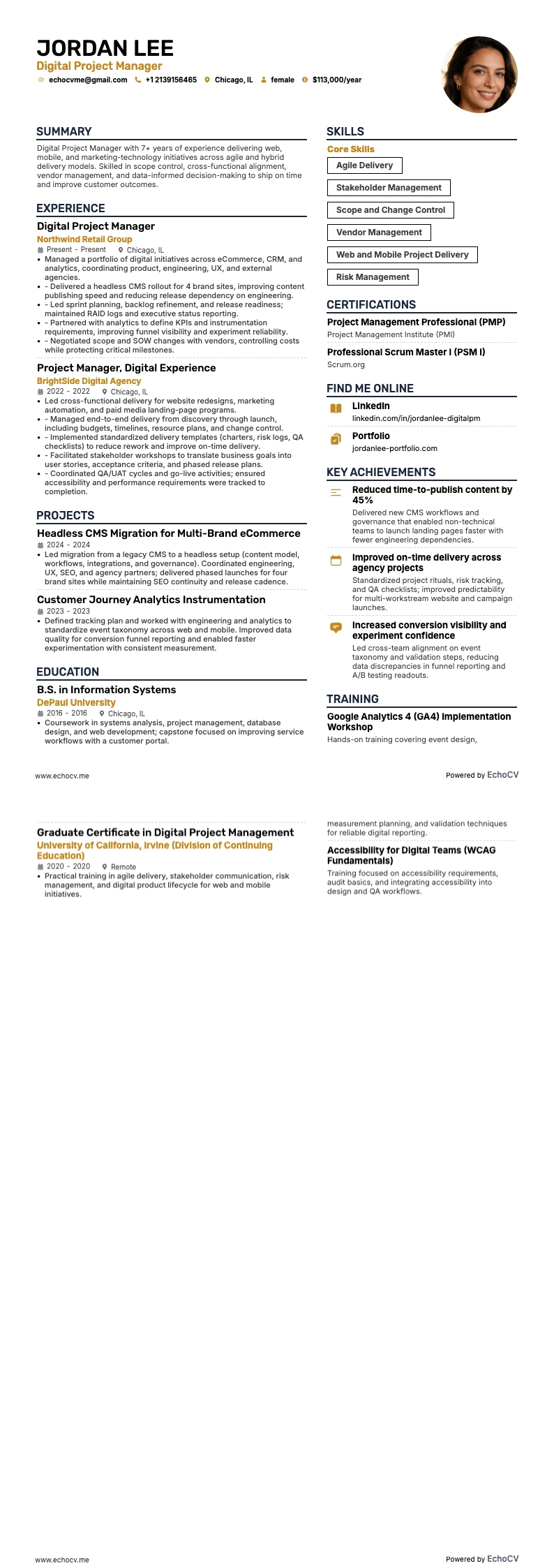 Chef de projet digital example resume