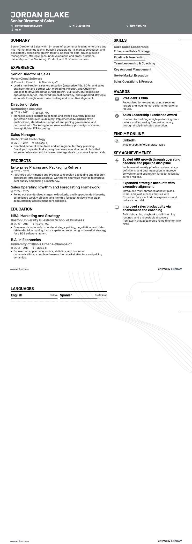 銷售資深總監 example resume