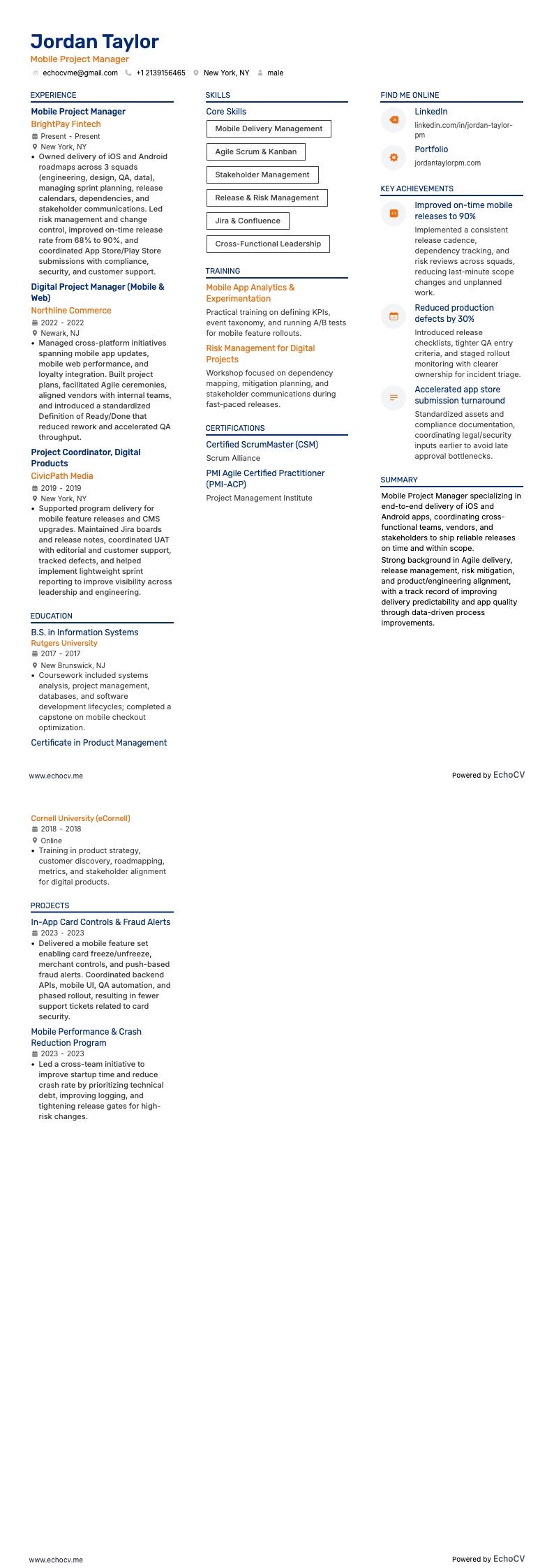 Project Manager Digitale resume example