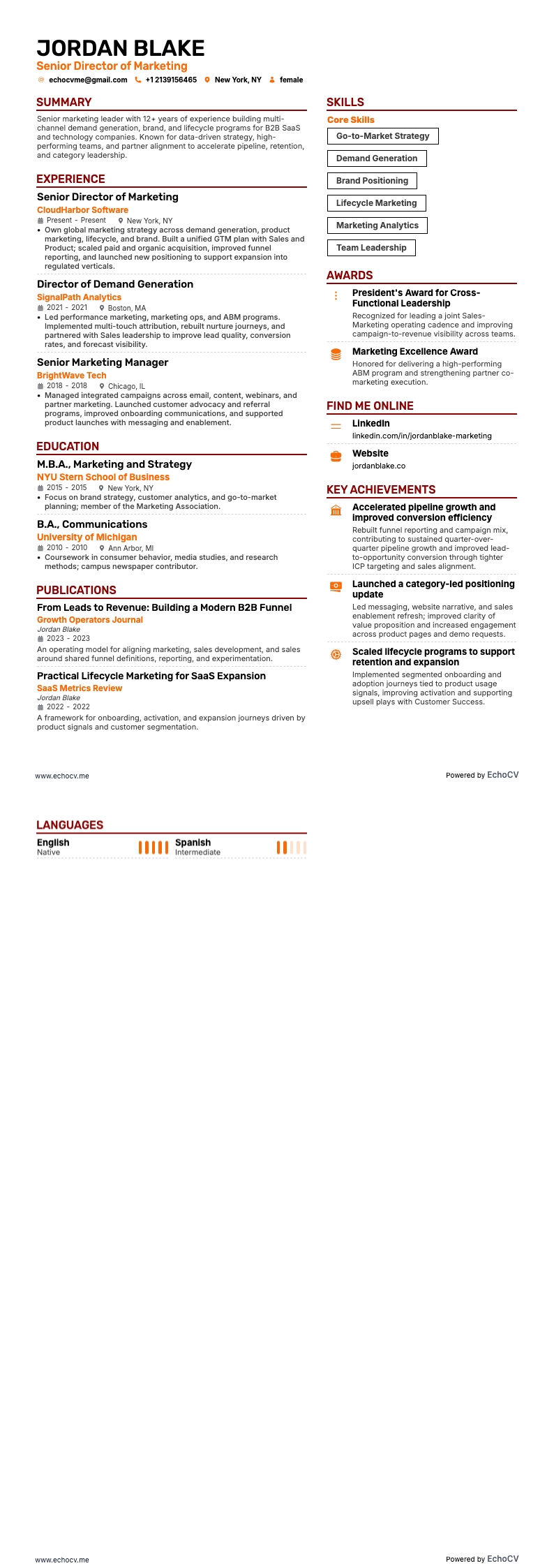 資深行銷總監 example resume