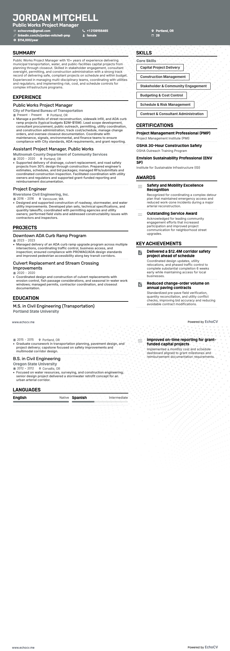 Public Works Project Manager example resume