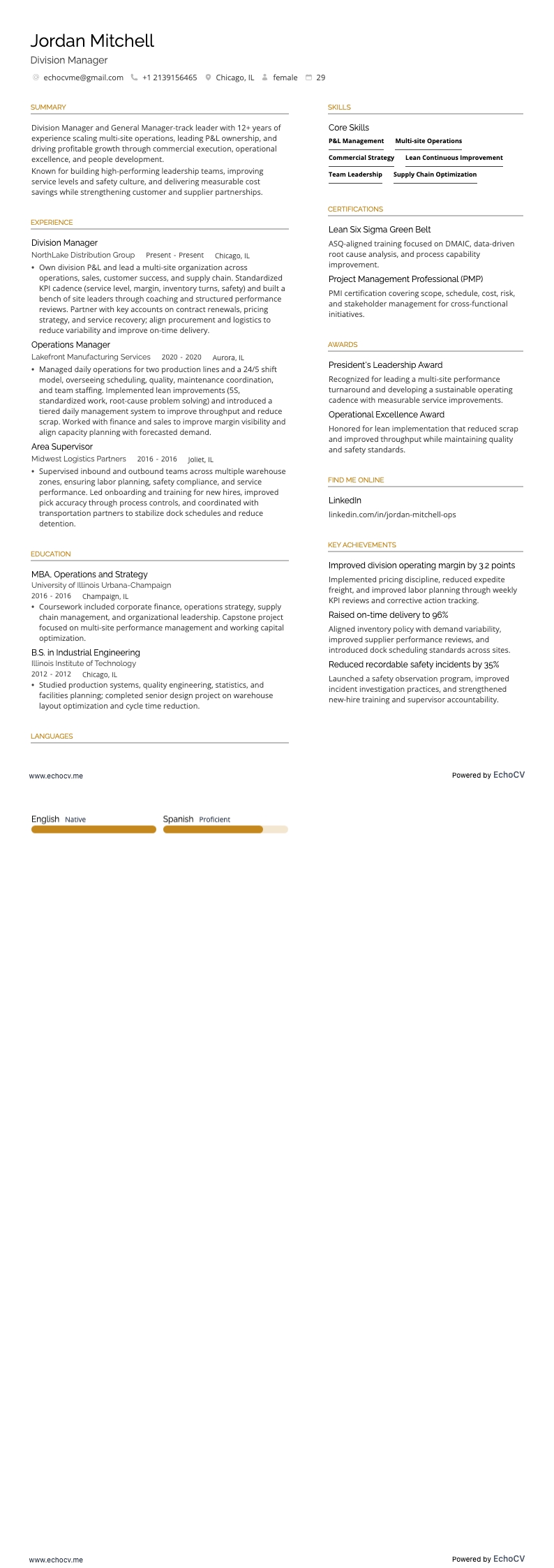 Division Manager example resume