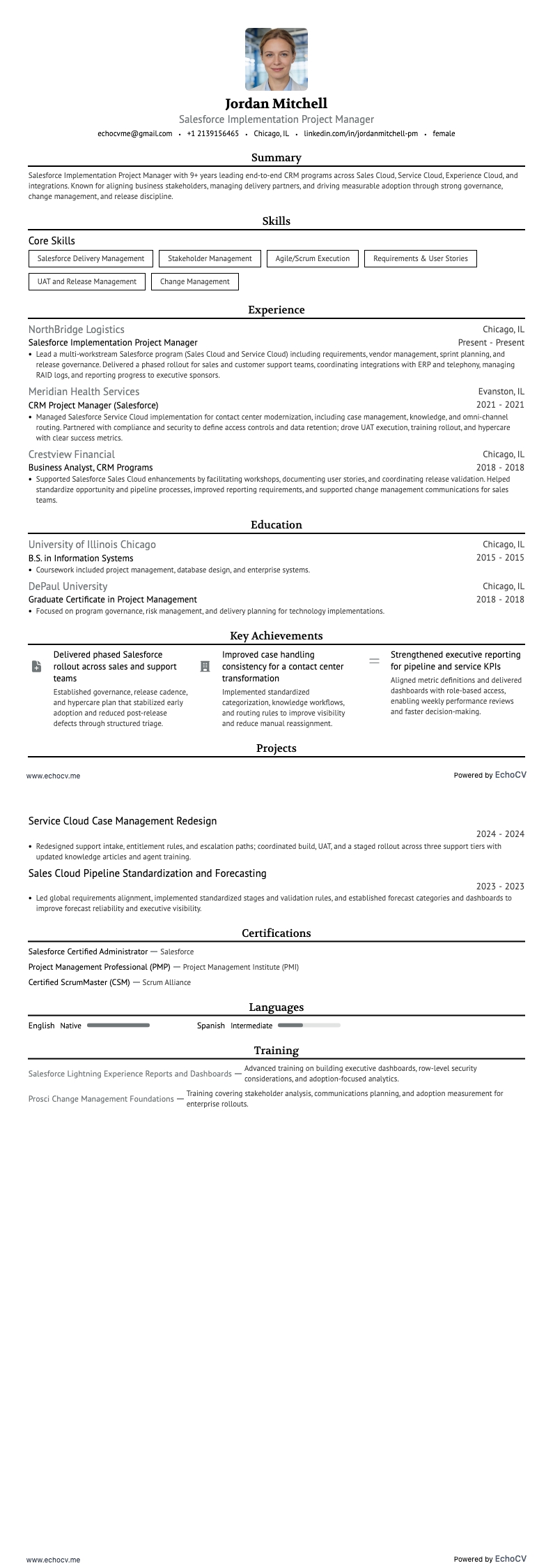Gerente de Projetos Salesforce resume example