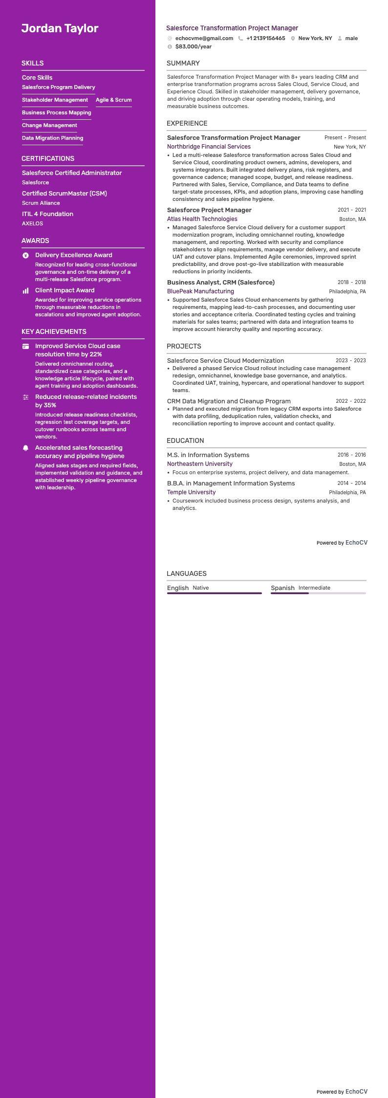 Salesforce-projektledare resume example