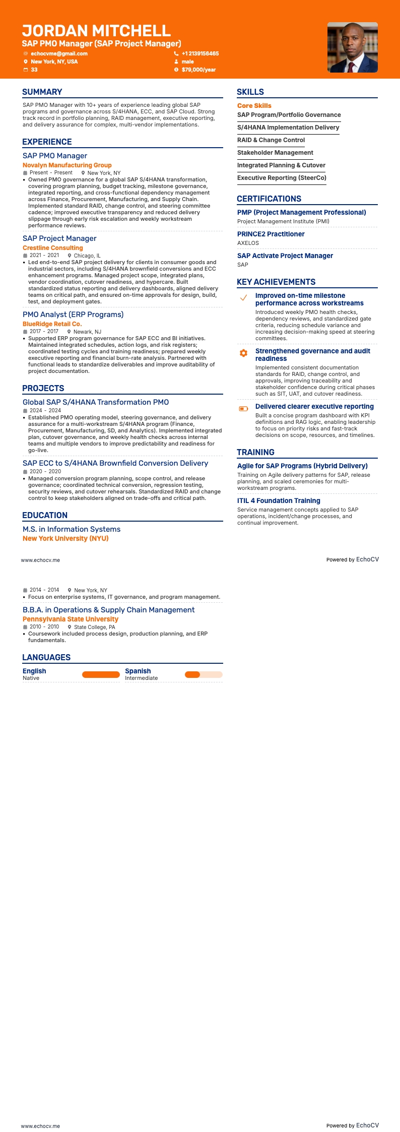 SAP PMO Manager example resume