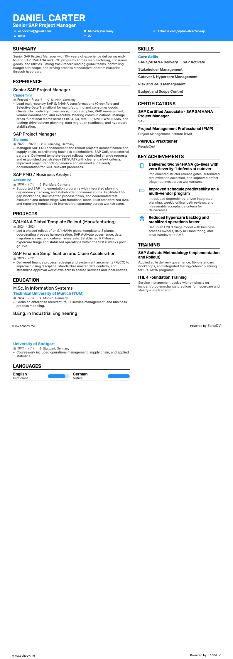 Senior SAP Project Manager full preview