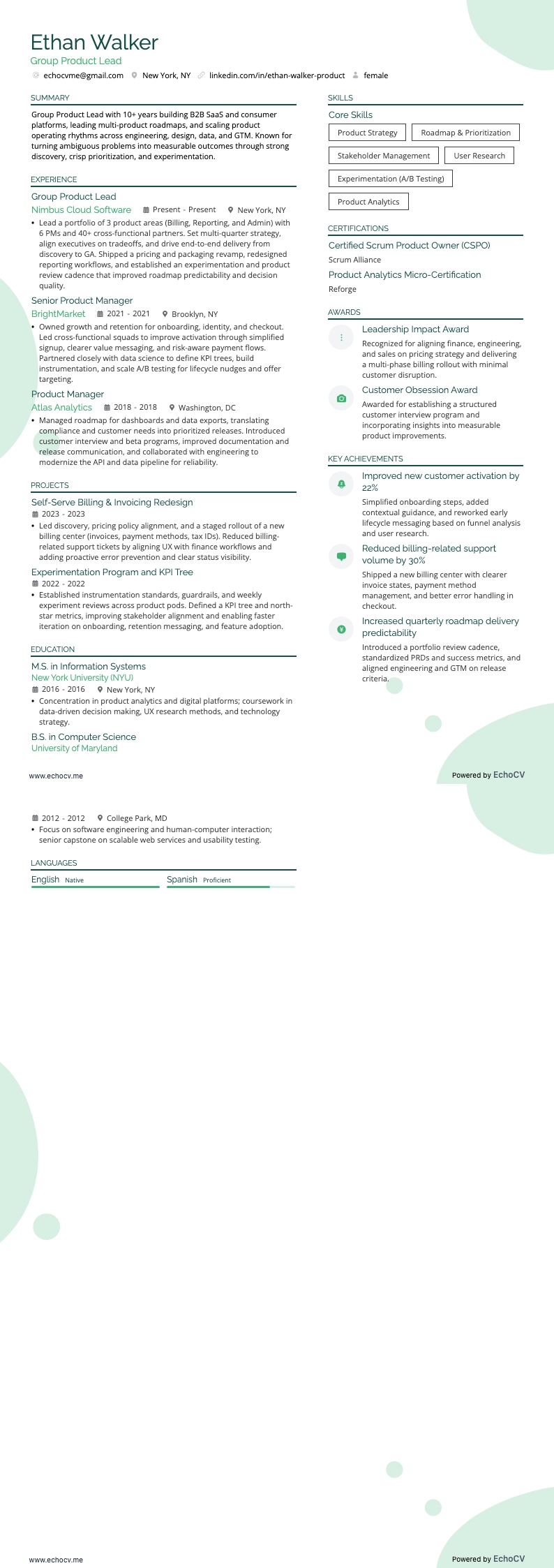 Group Product Lead example resume