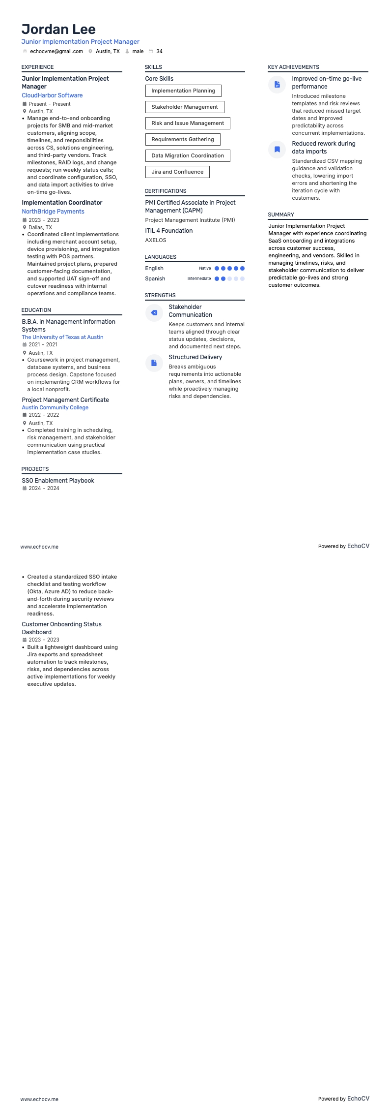 Gerente de Projetos de Implementação resume example
