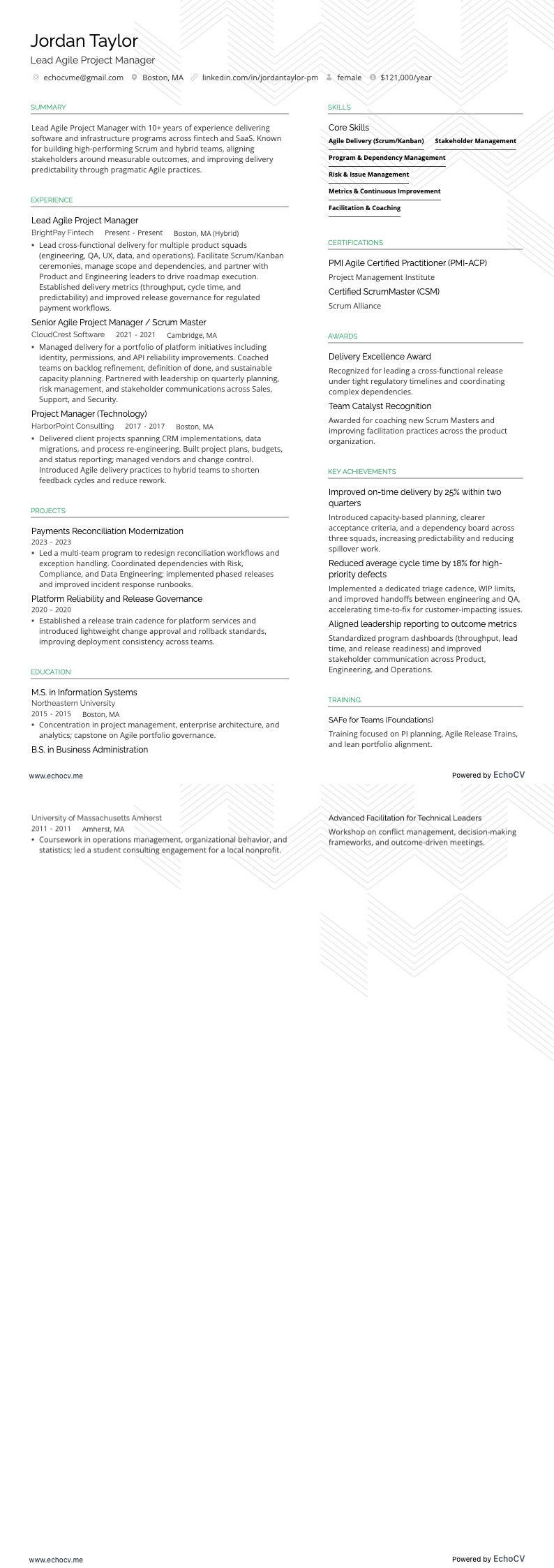 Lead Agile Project Manager full preview