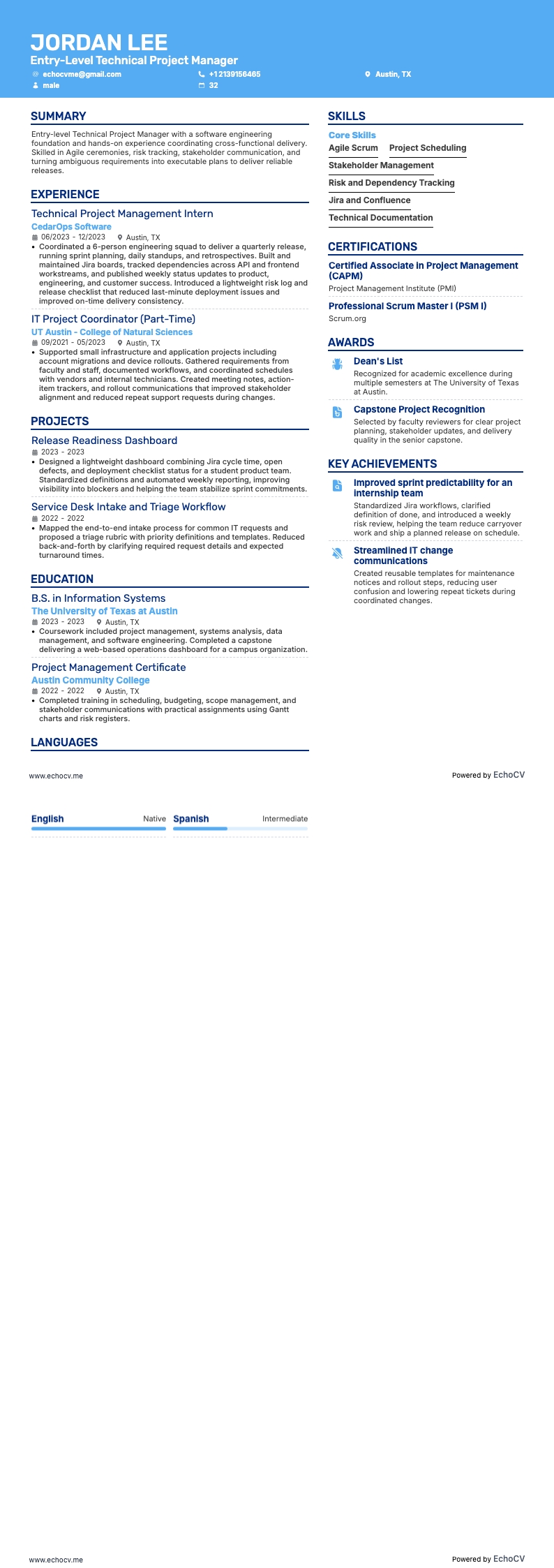 初階技術專案經理 resume example