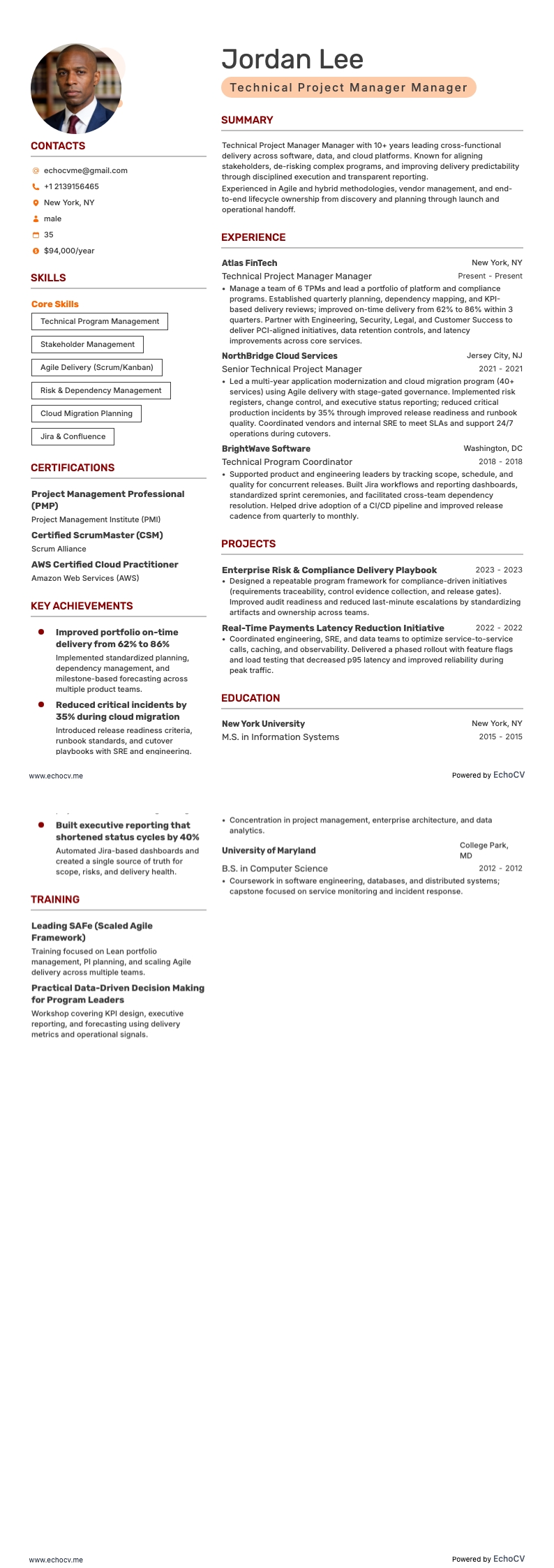 Technical Project Manager Manager full preview