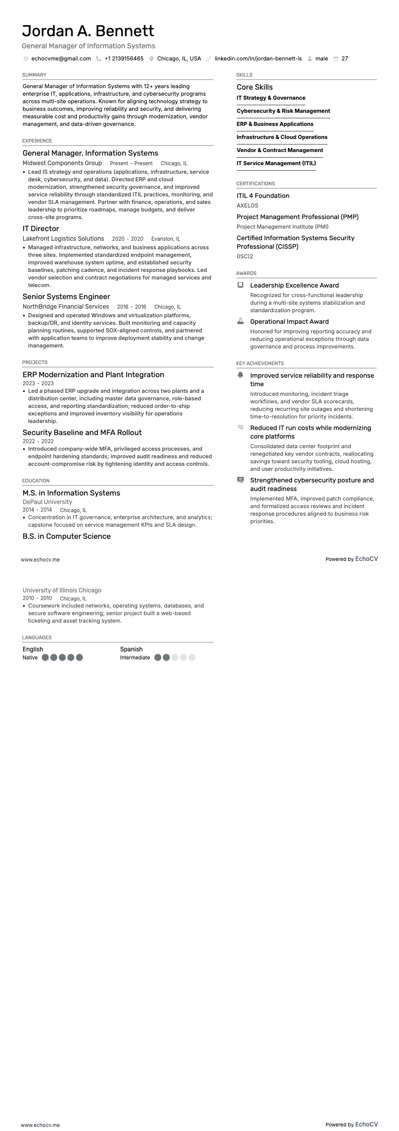 General Manager of Information Systems example resume