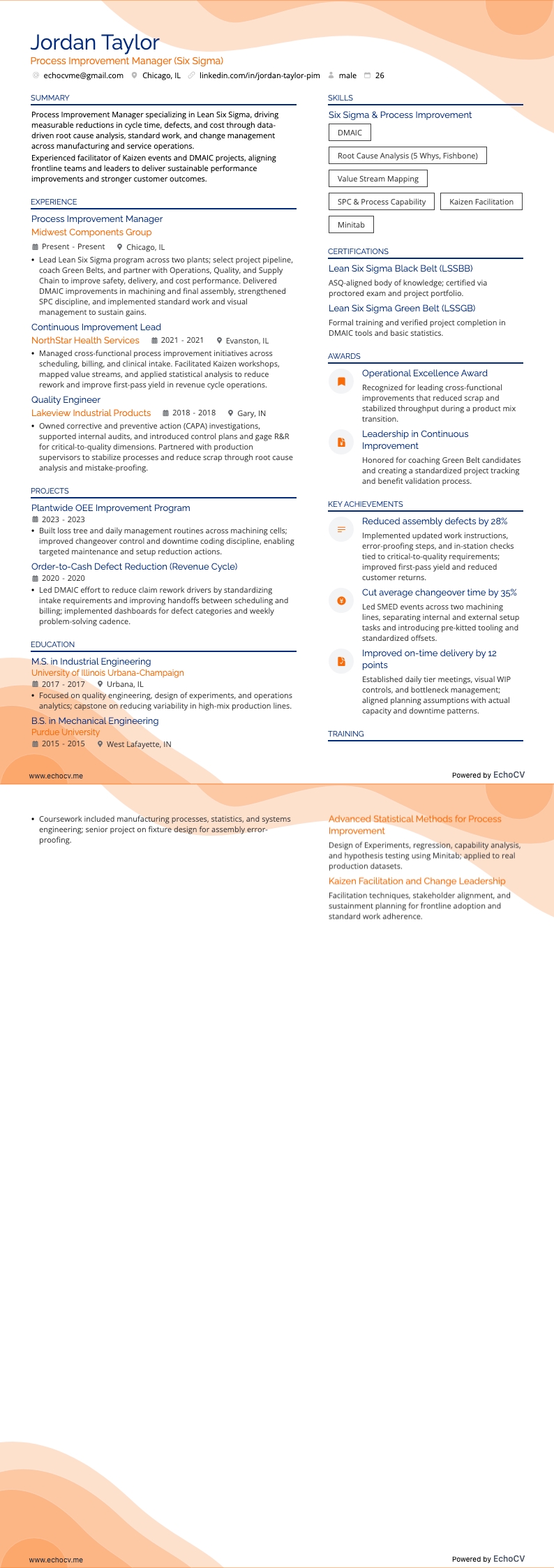 Responsable amélioration des processus example resume