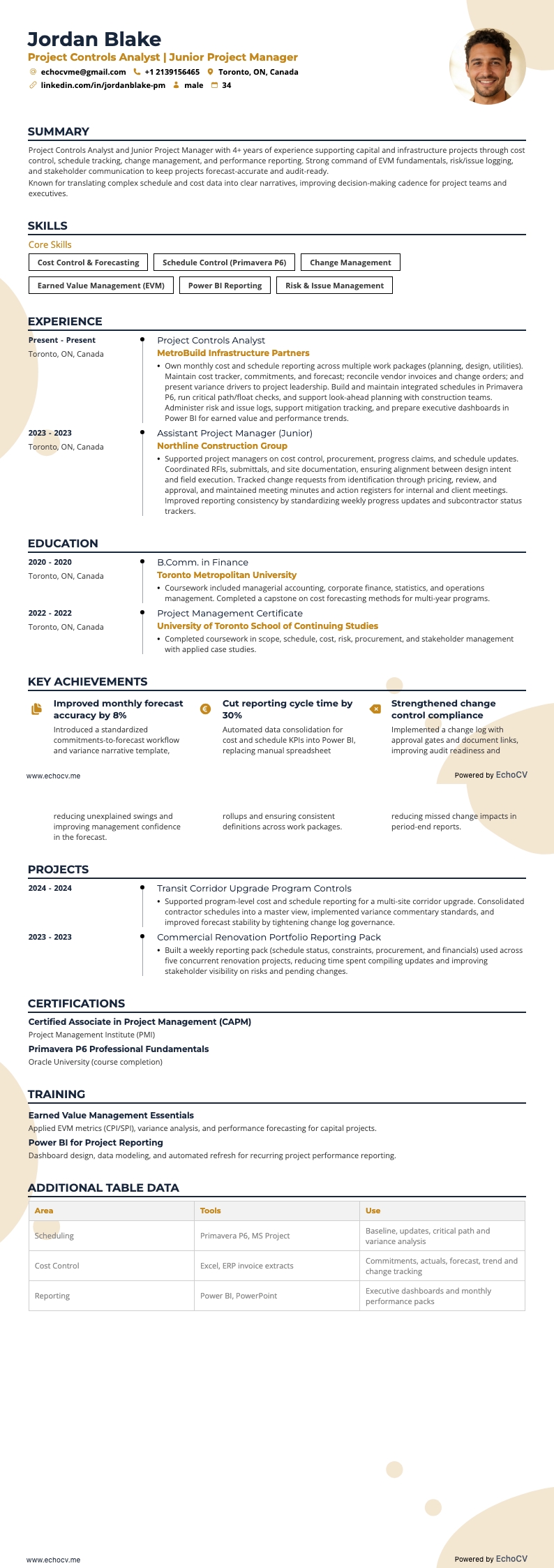 專案控制分析師