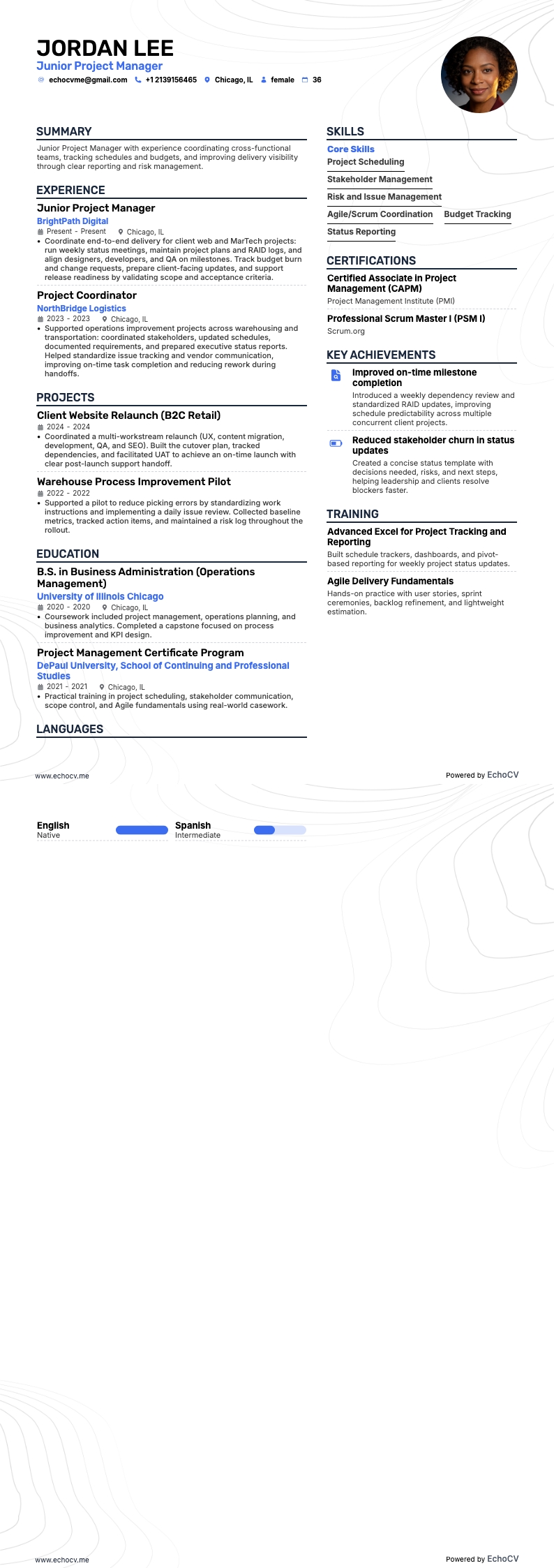 Junior Project Manager example resume