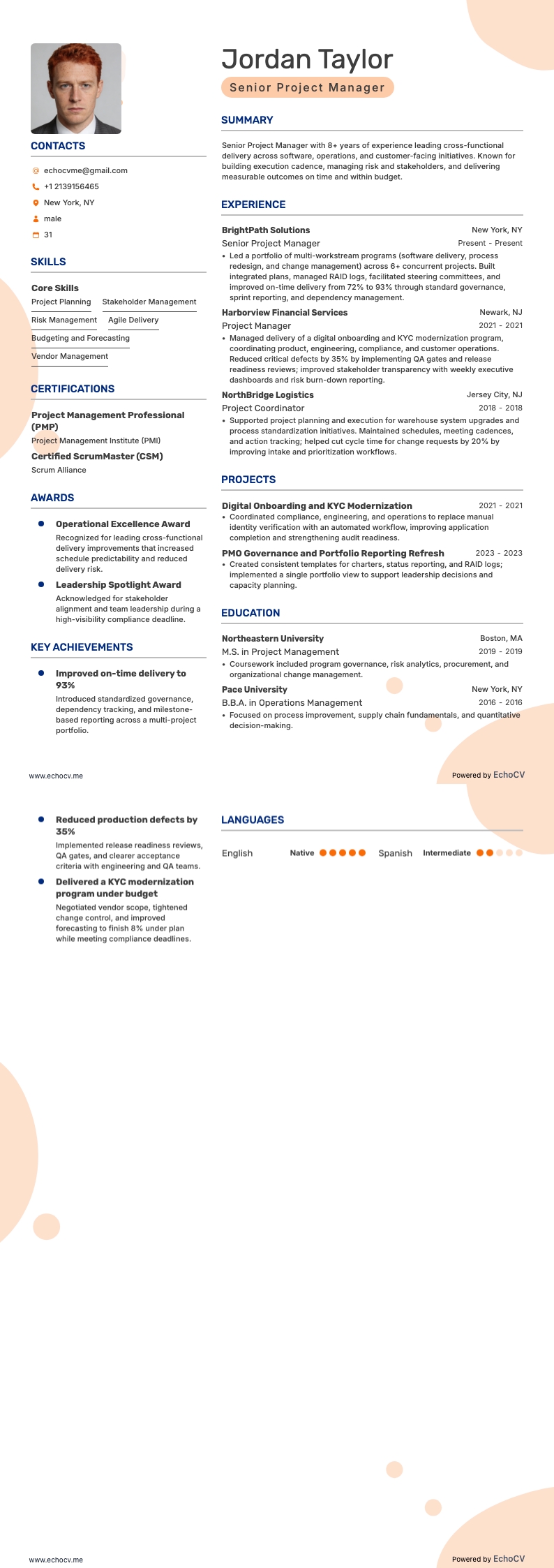 Senior Project Manager full preview