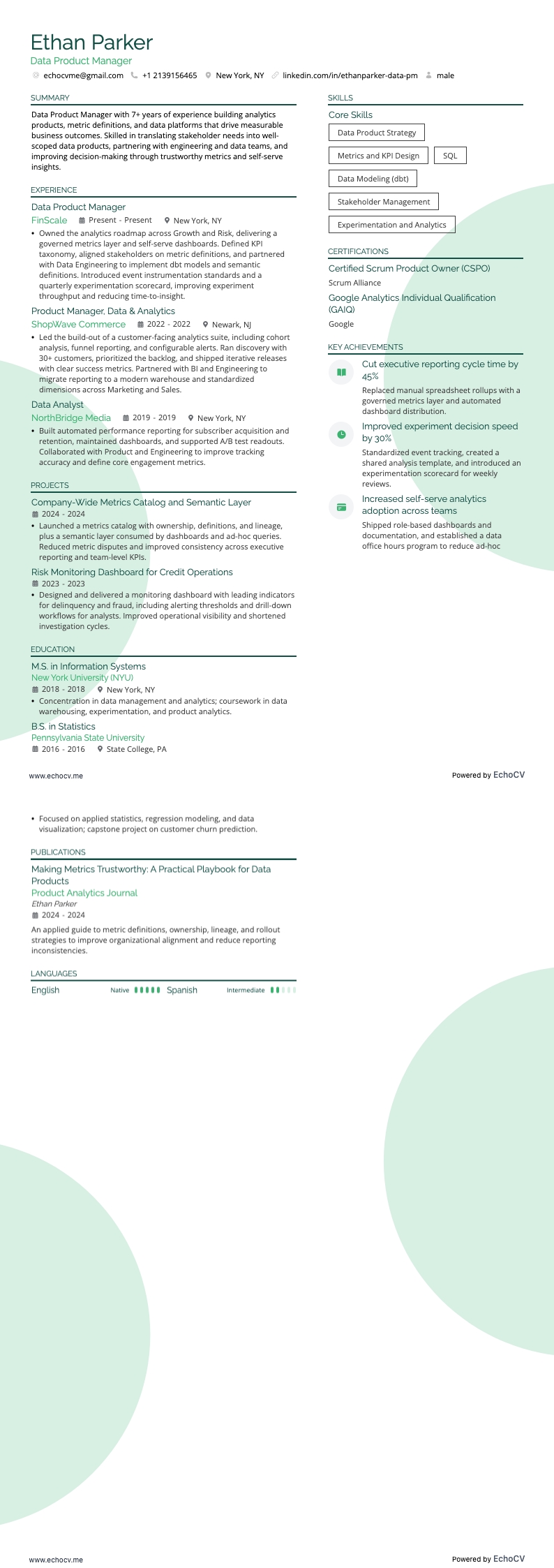 データプロダクトマネージャー example resume