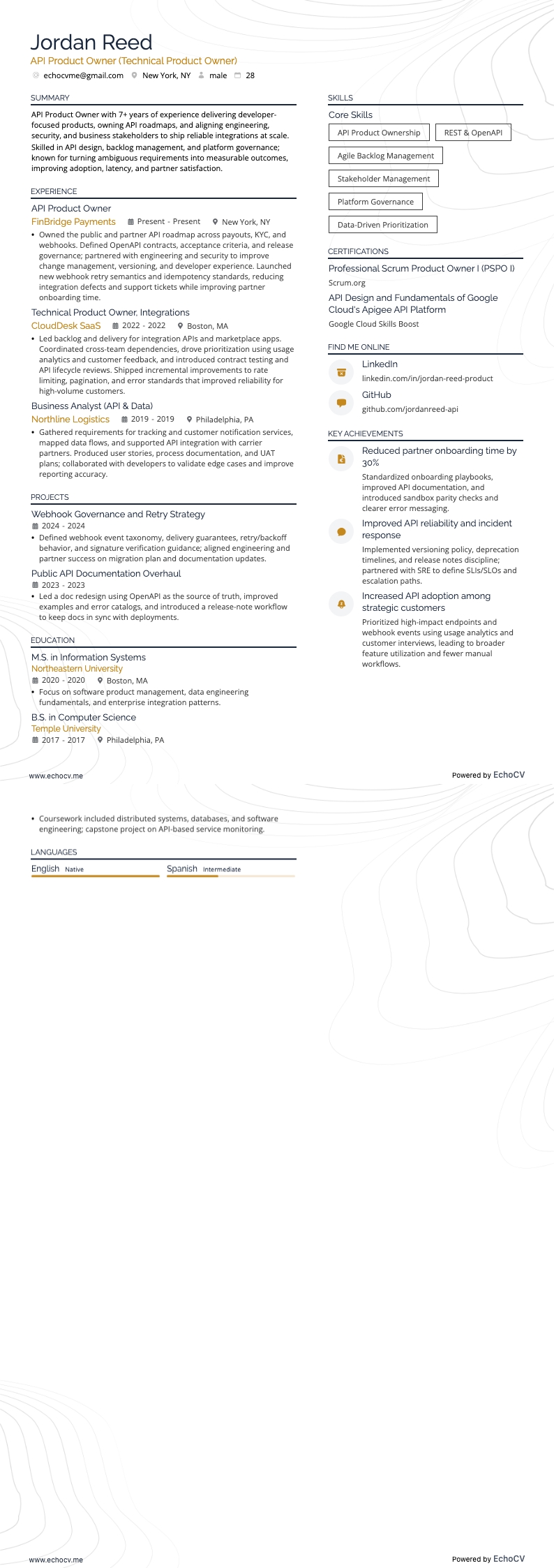 API Product Owner example resume