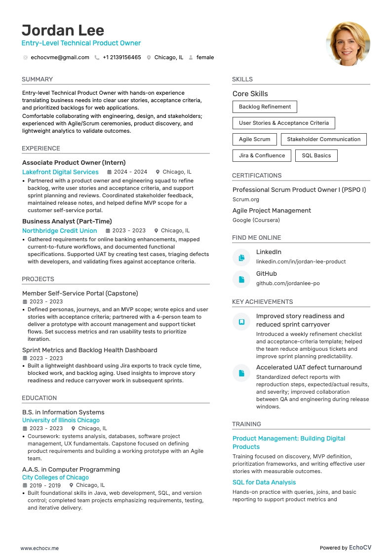 Entry-Level Technical Product Owner example resume