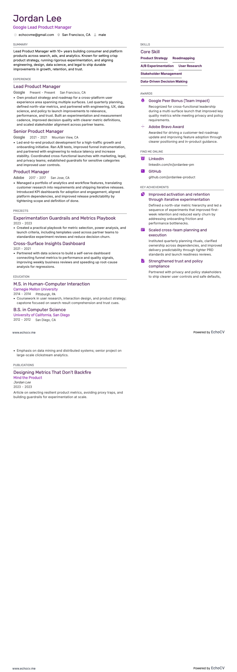 Google Lead Product Manager example resume