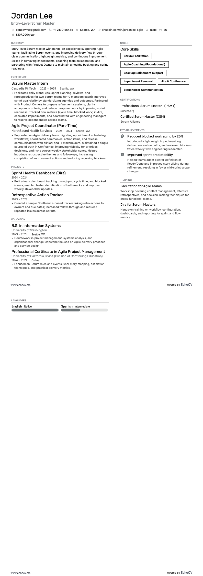 Entry-Level Scrum Master example resume