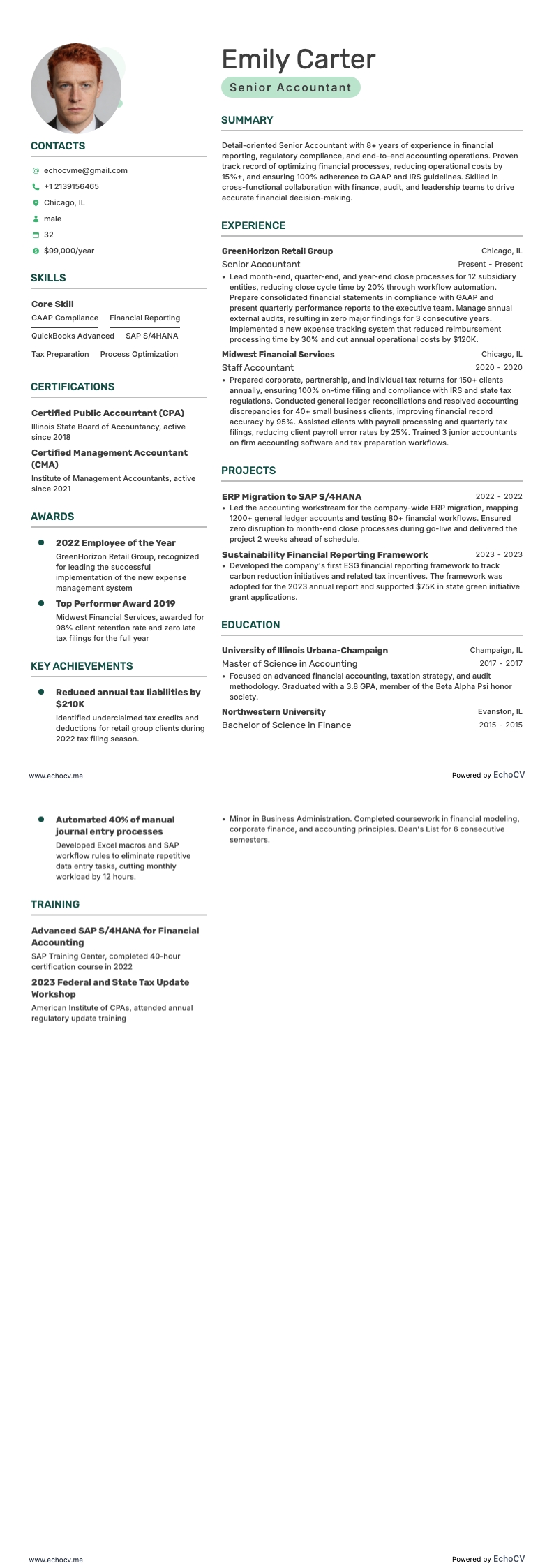 シニア会計士 example resume
