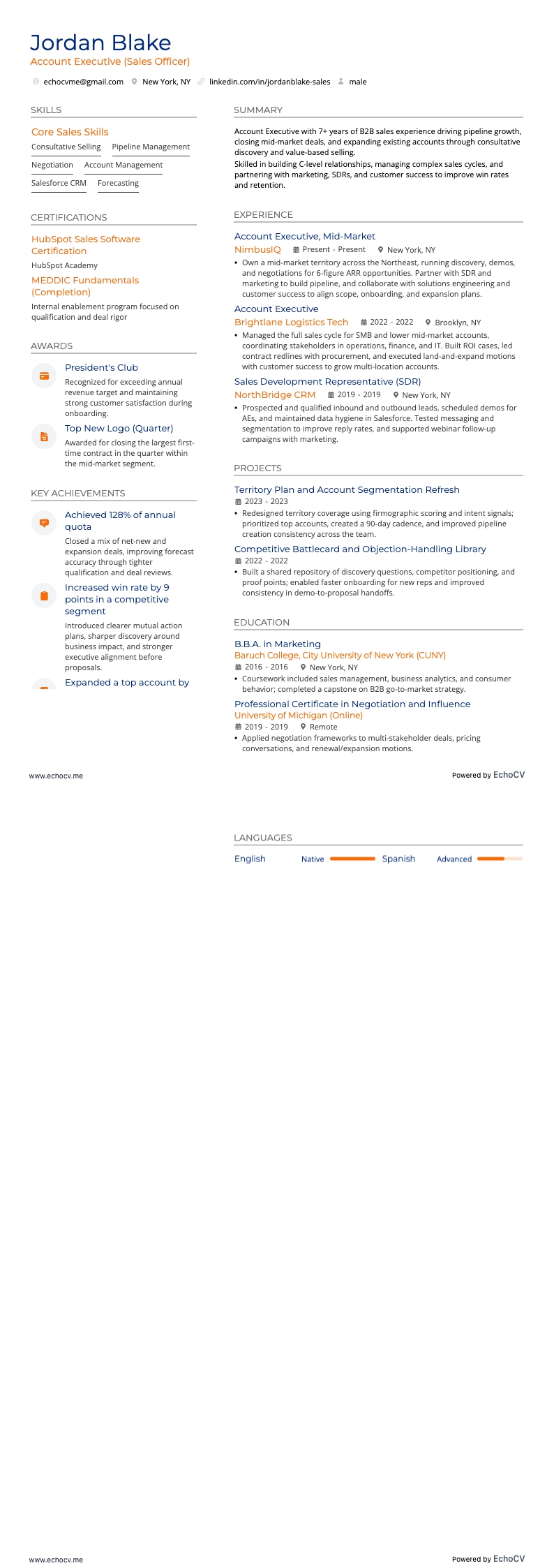 Account Executive example resume