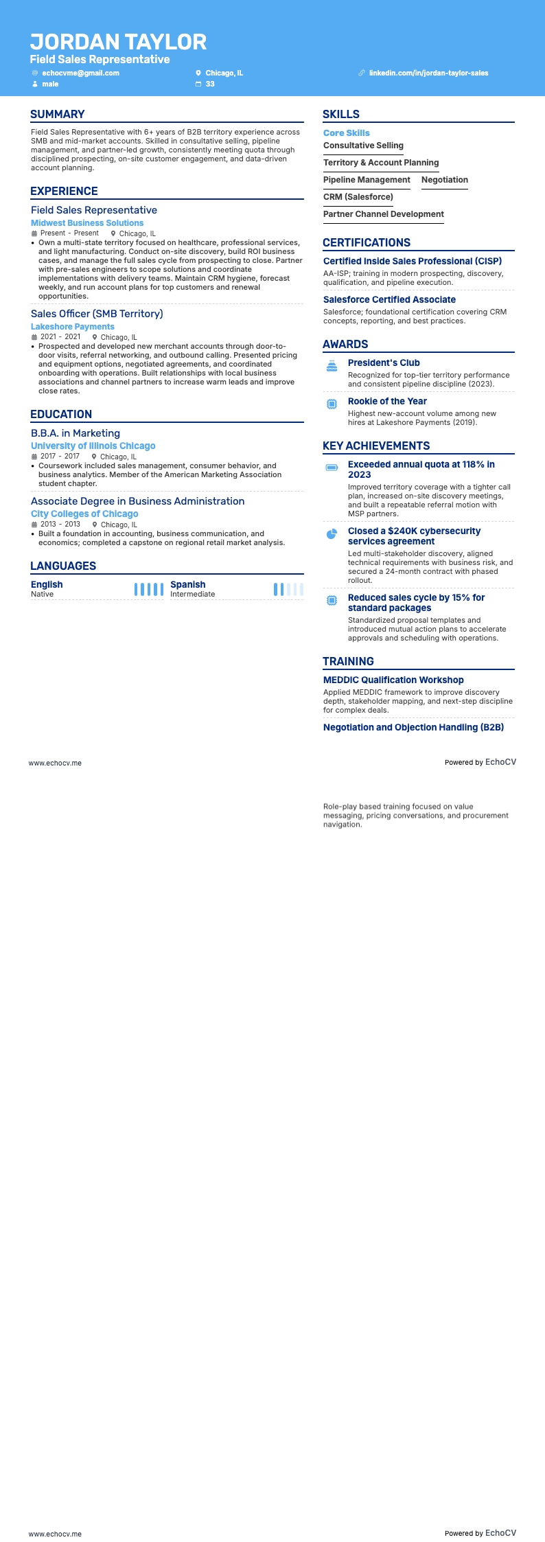 Responsabile vendite resume example