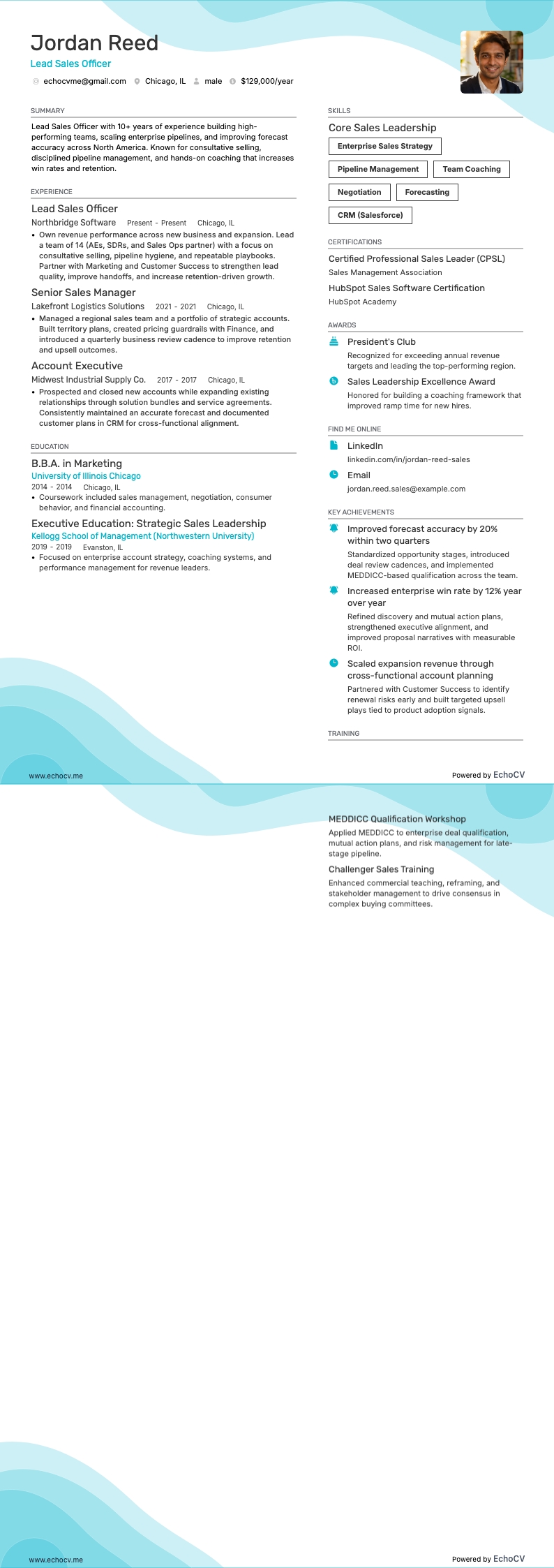 Lead Sales Officer full preview