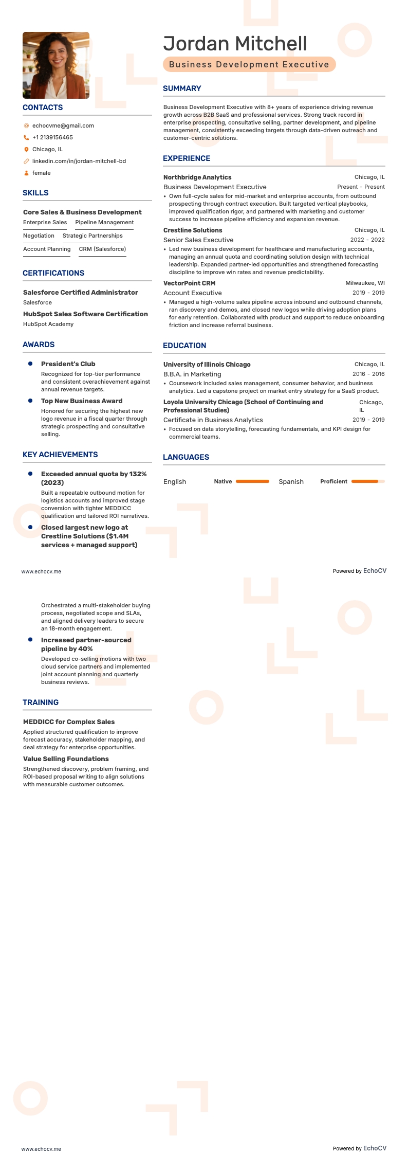 시니어 영업 임원 resume example