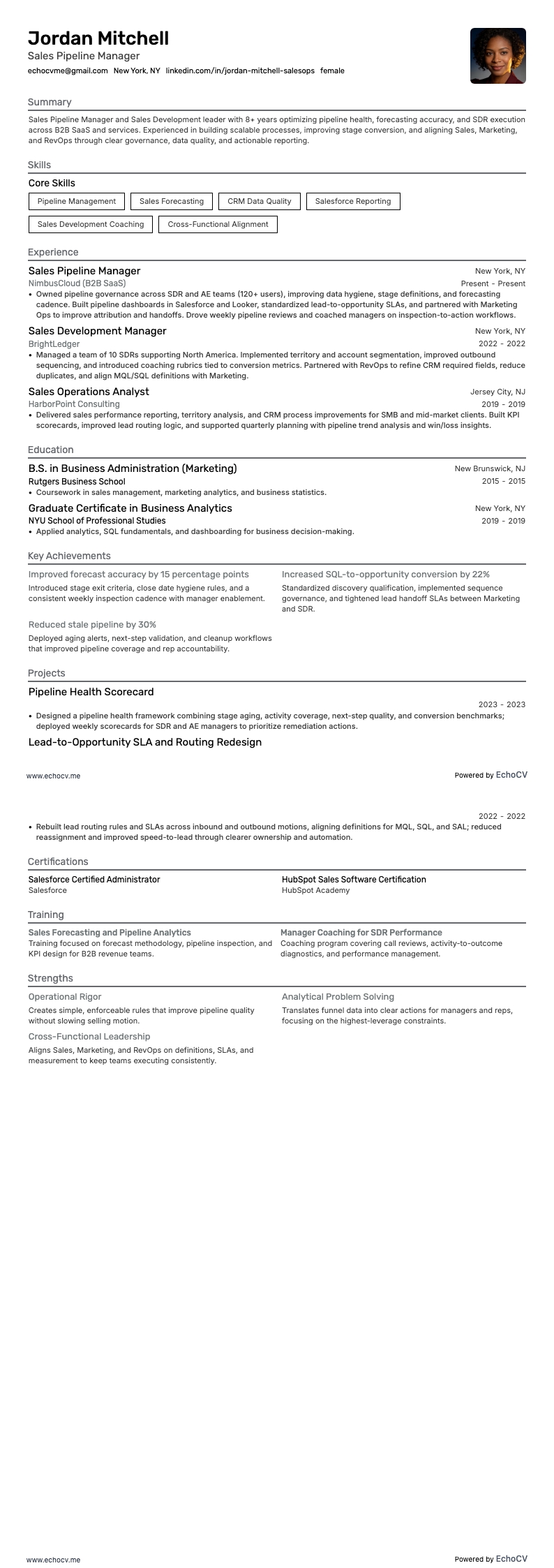 Responsable du pipeline commercial example resume