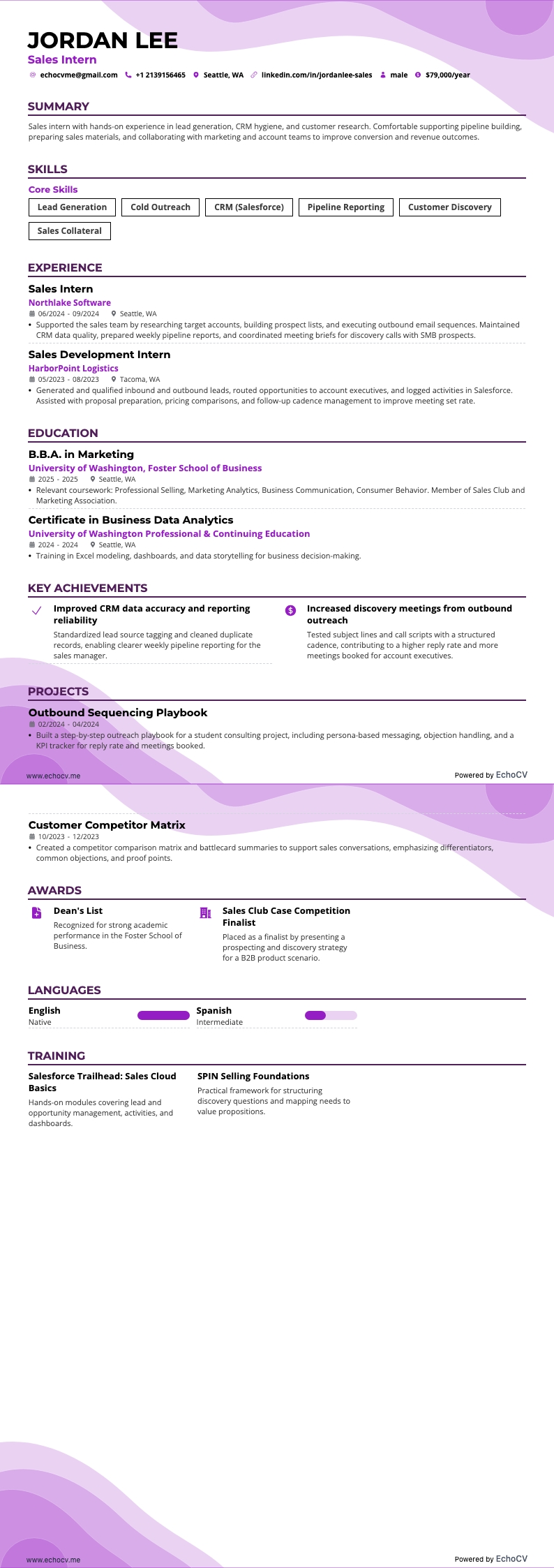 Sales Intern resume example