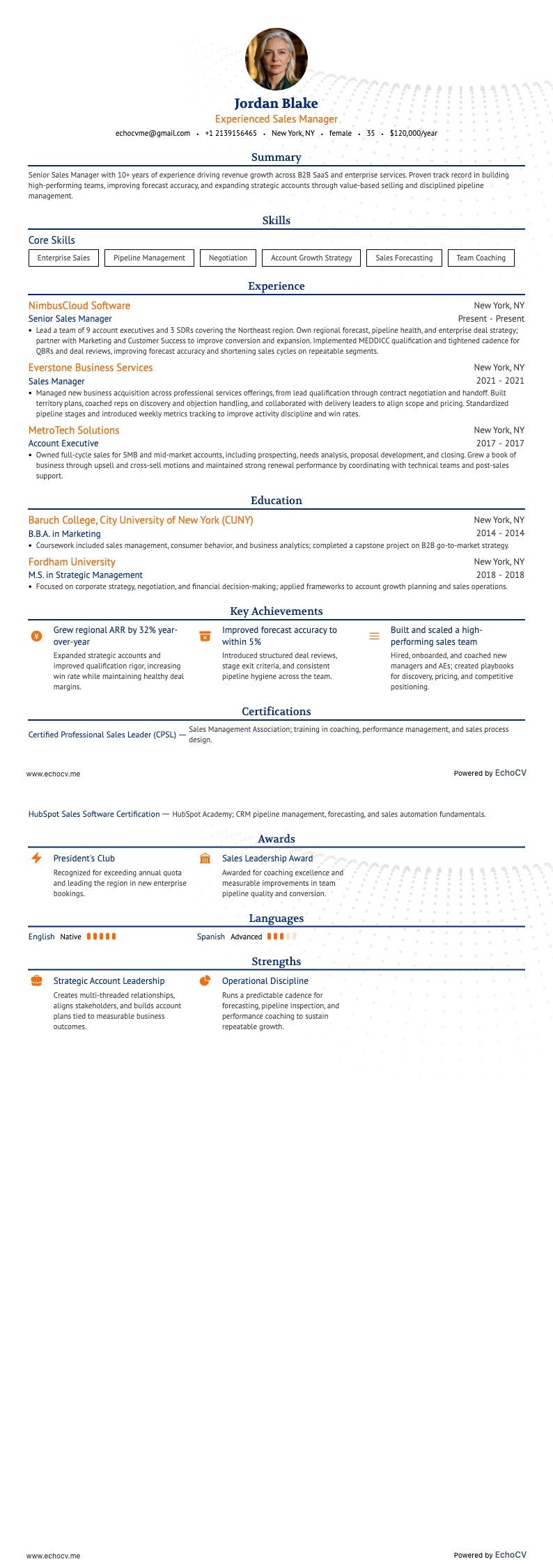 Experienced Sales Manager full preview