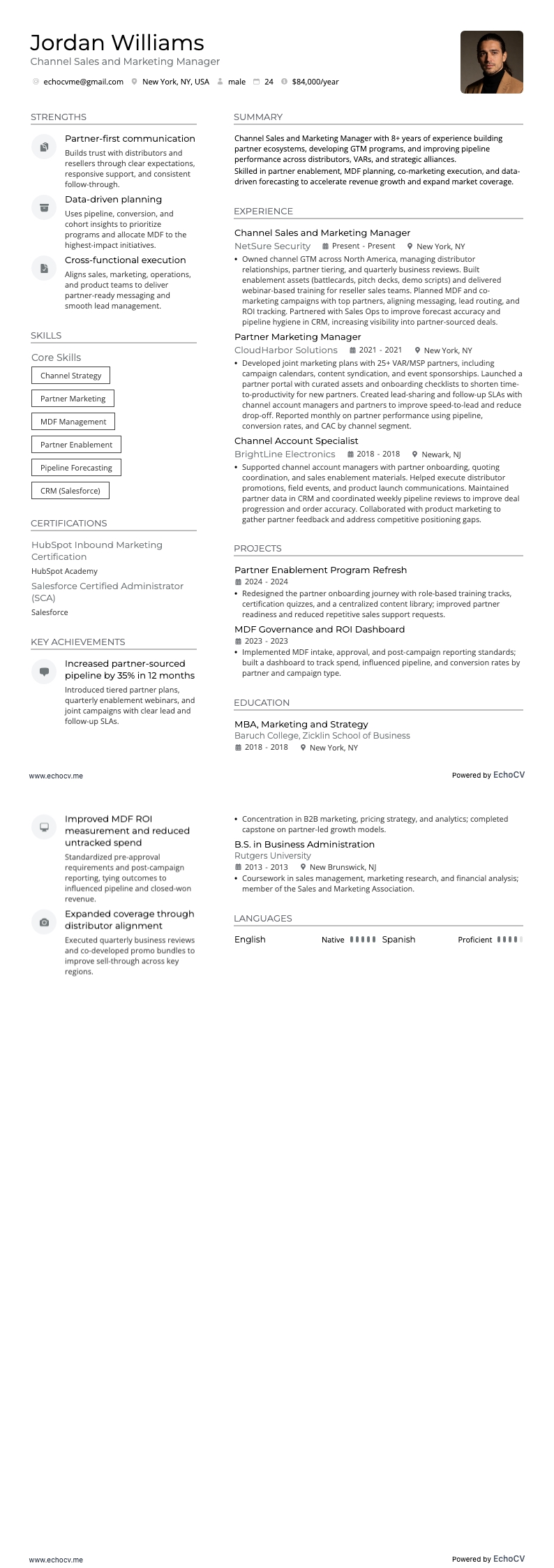Vertriebs- und Marketingmanager resume example