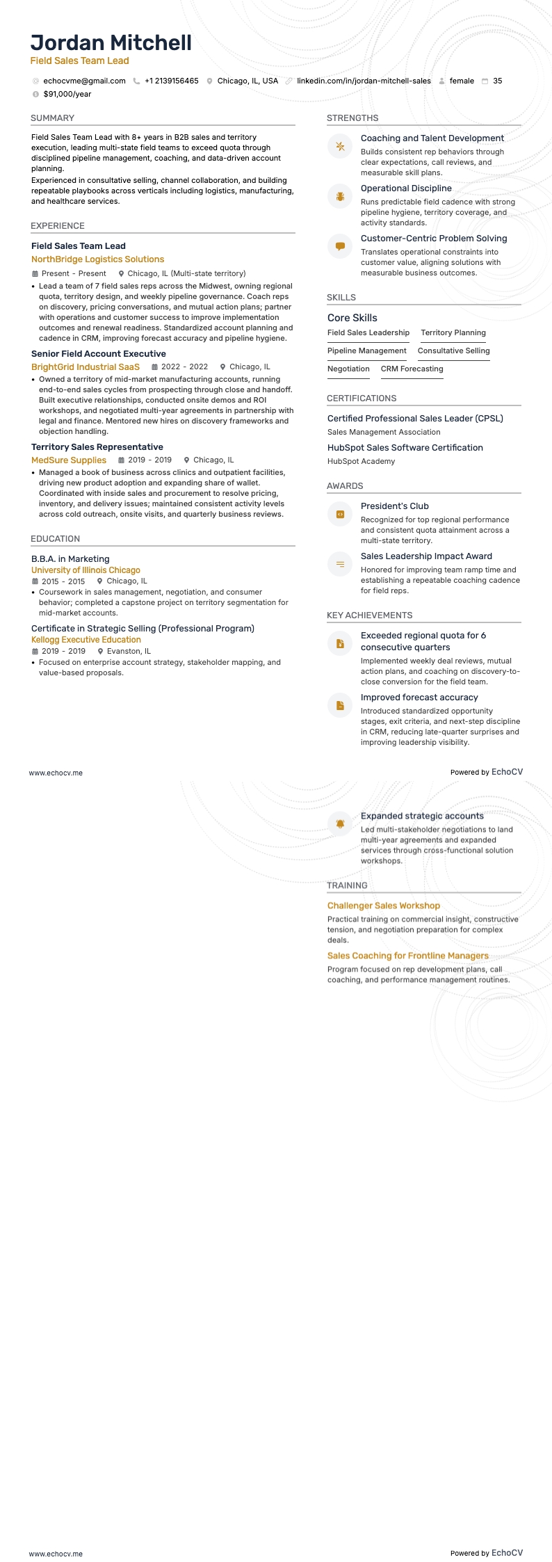 Field Sales Team Lead example resume