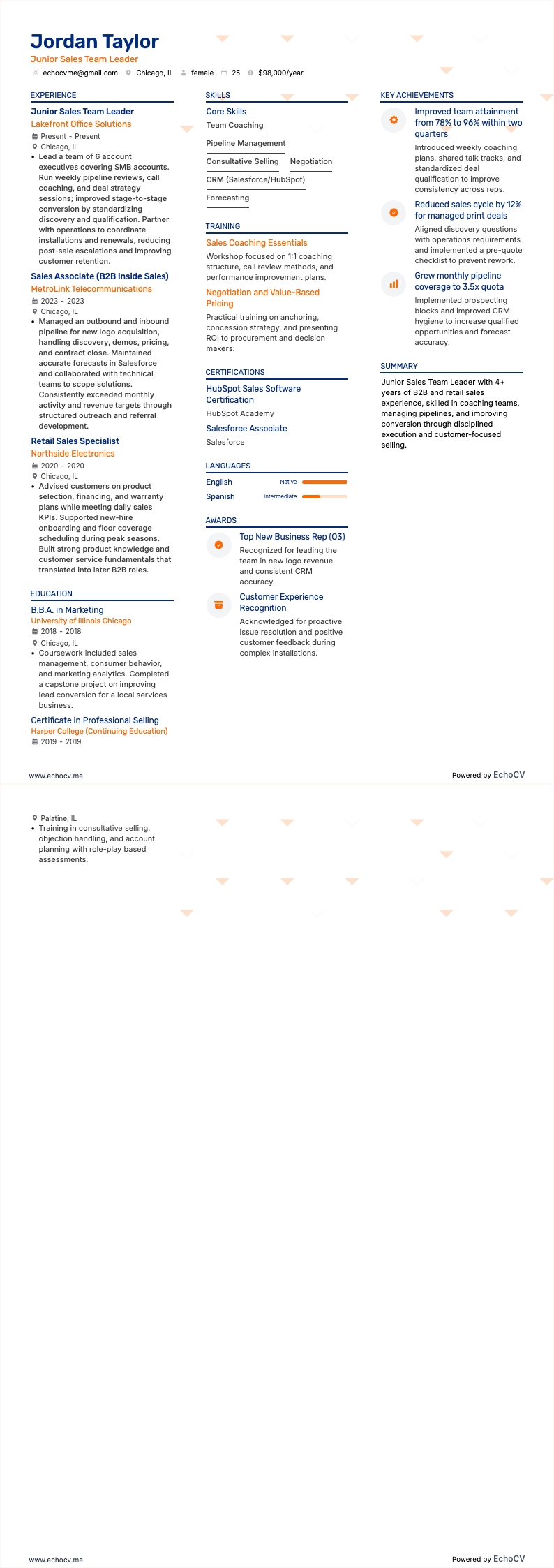 Sales Team Leader resume example