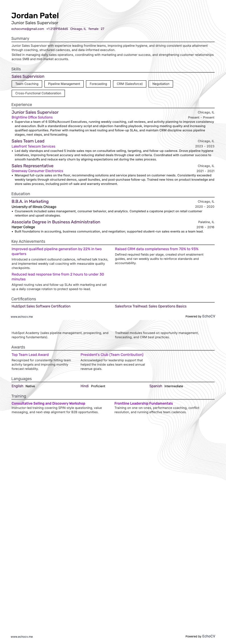 Superviseur des ventes junior example resume