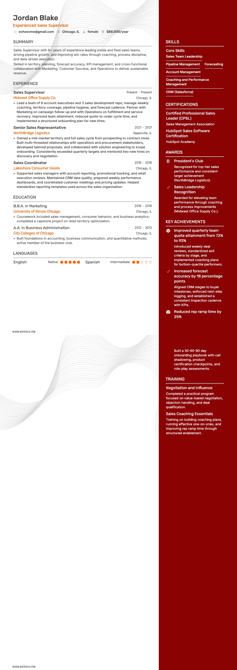 Vertriebsleiter resume example