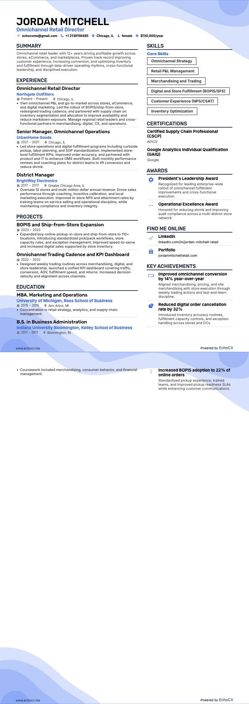 オムニチャネル小売ディレクター example resume