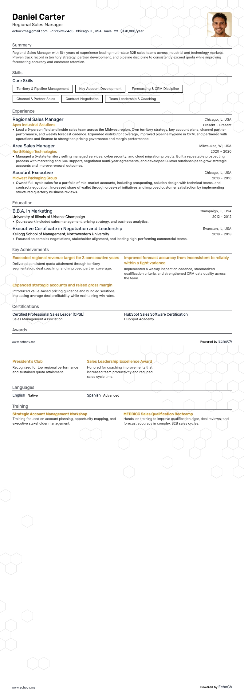 Responsable régional des ventes example resume