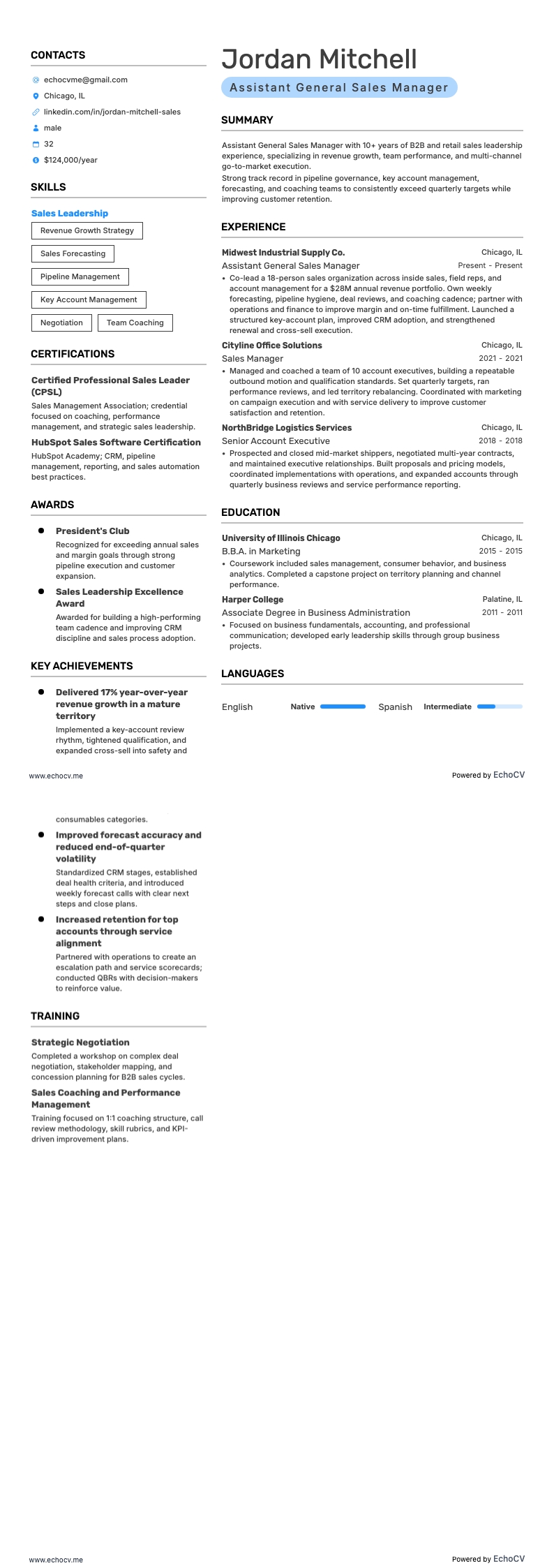 영업 총괄 매니저 resume example