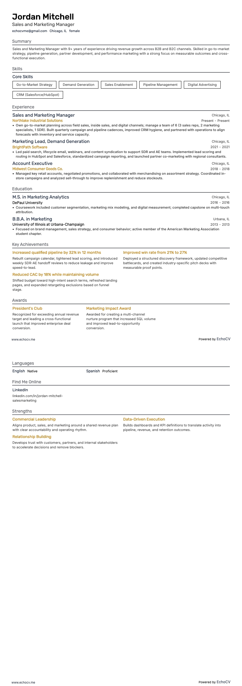 Sales and Marketing Manager example resume