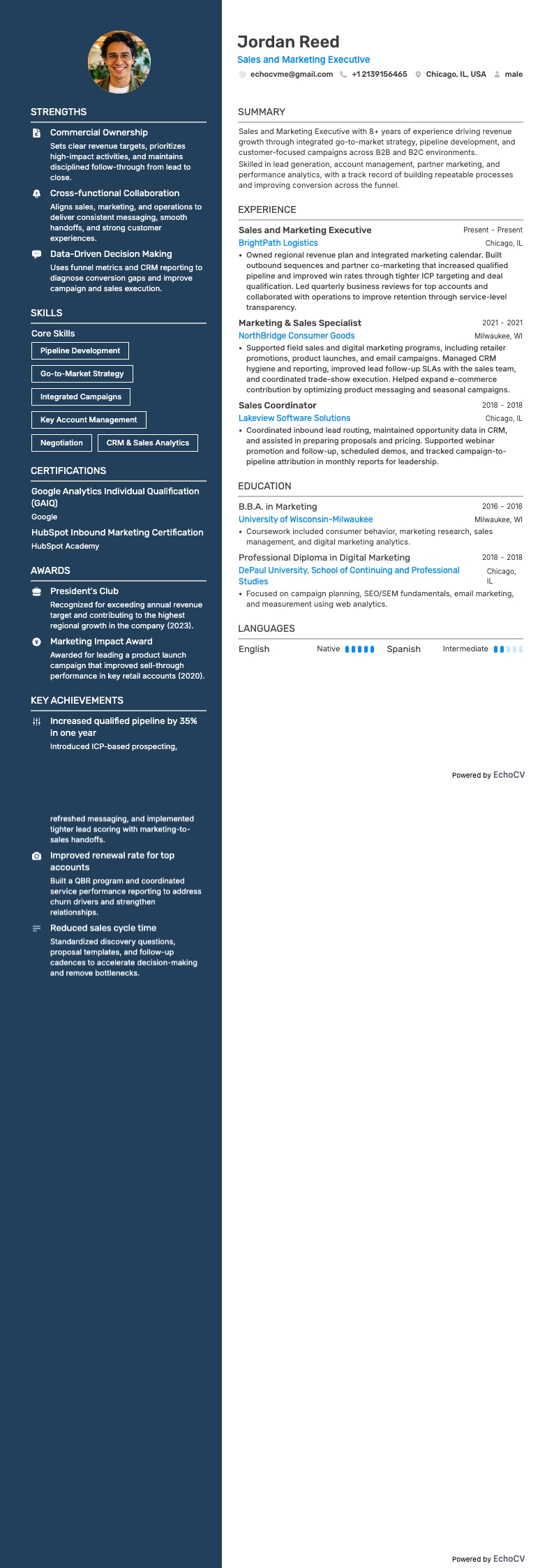 Sales and Marketing Executive resume example