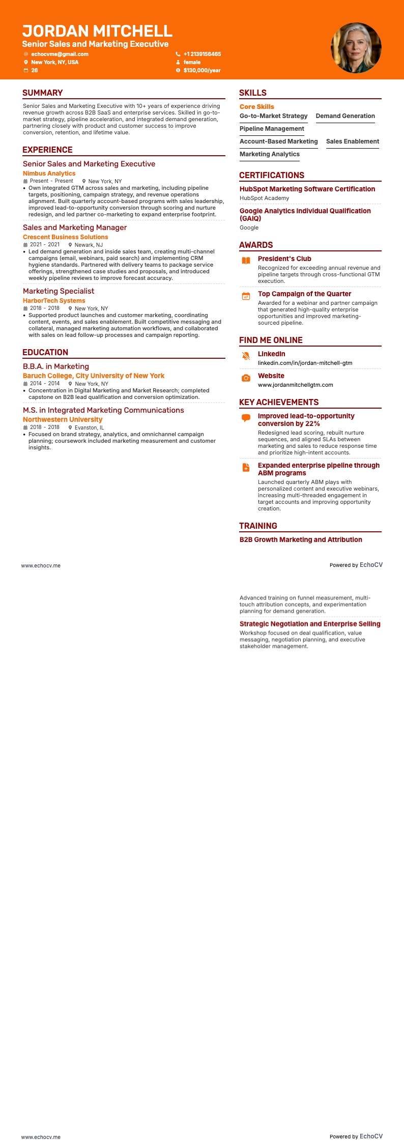 Senior Sales and Marketing Executive full preview