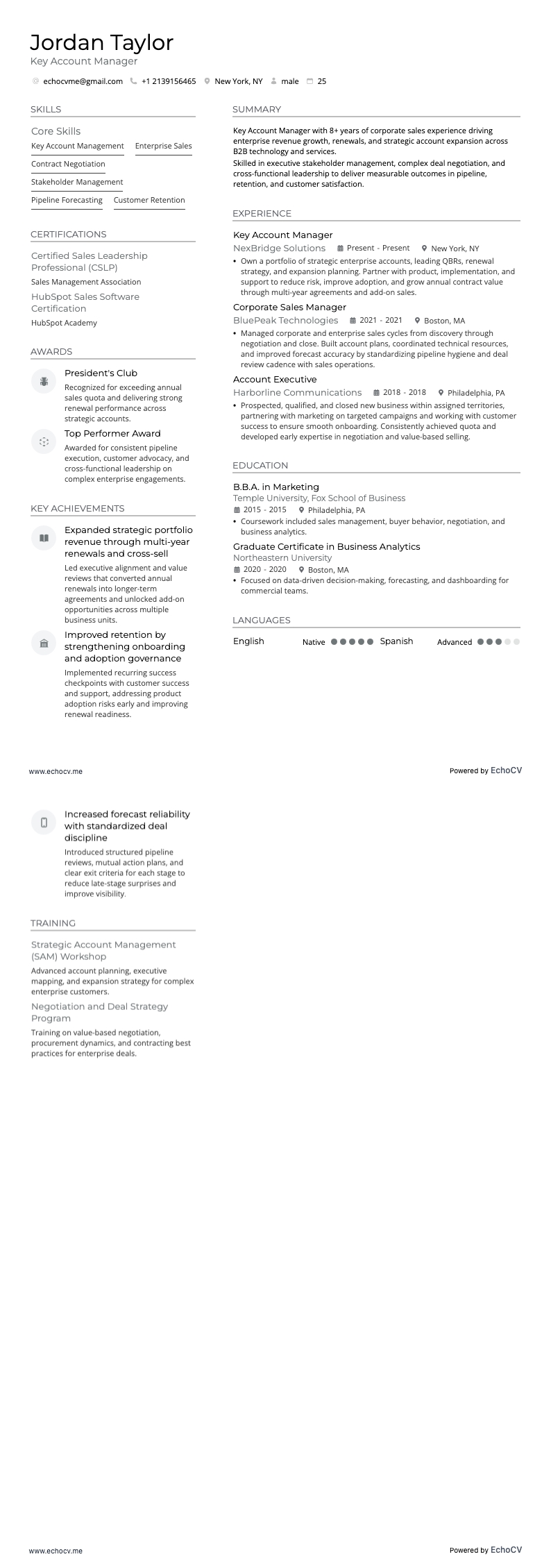 Key Account Manager example resume