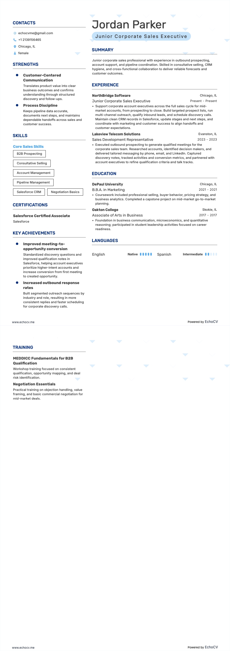 Junior Corporate Sales Executive example resume